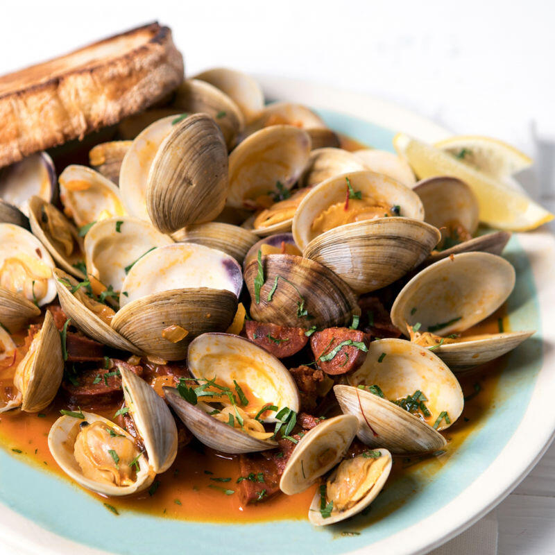 Clam